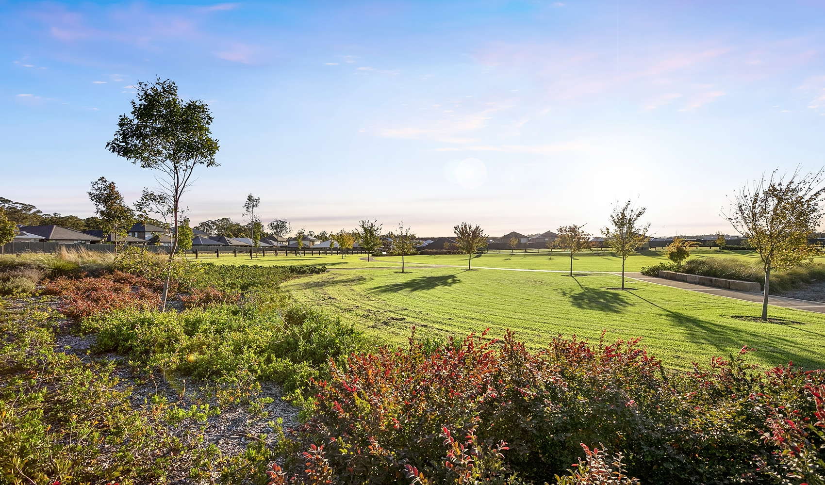 Ascot Grove Open Spaces